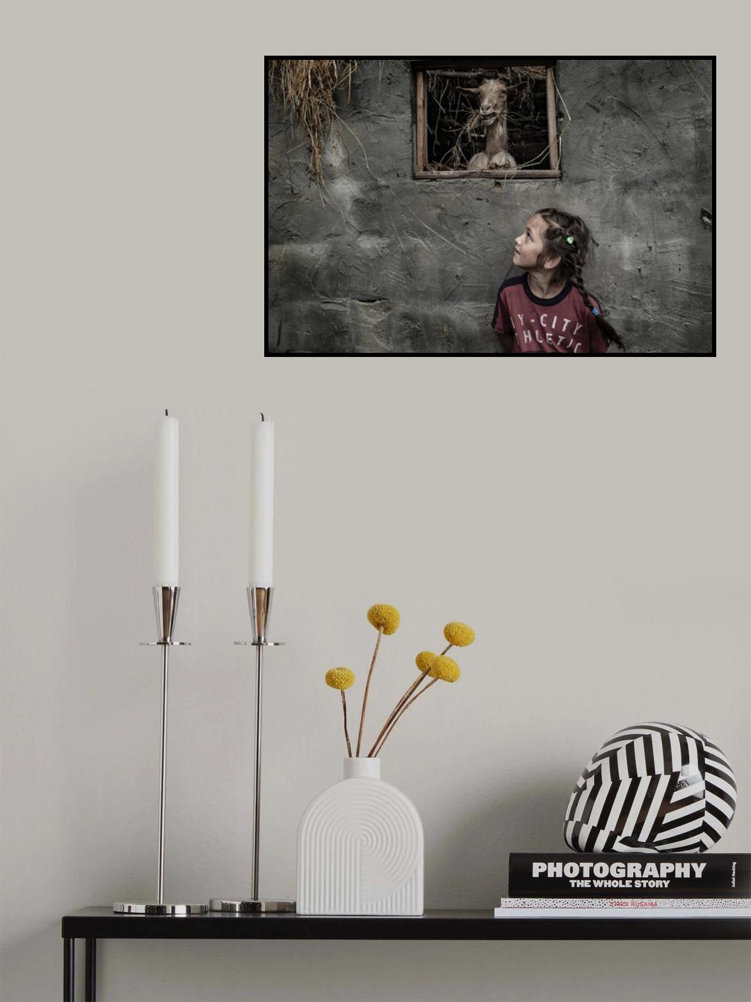 Transilvania Poster och Canvastavla