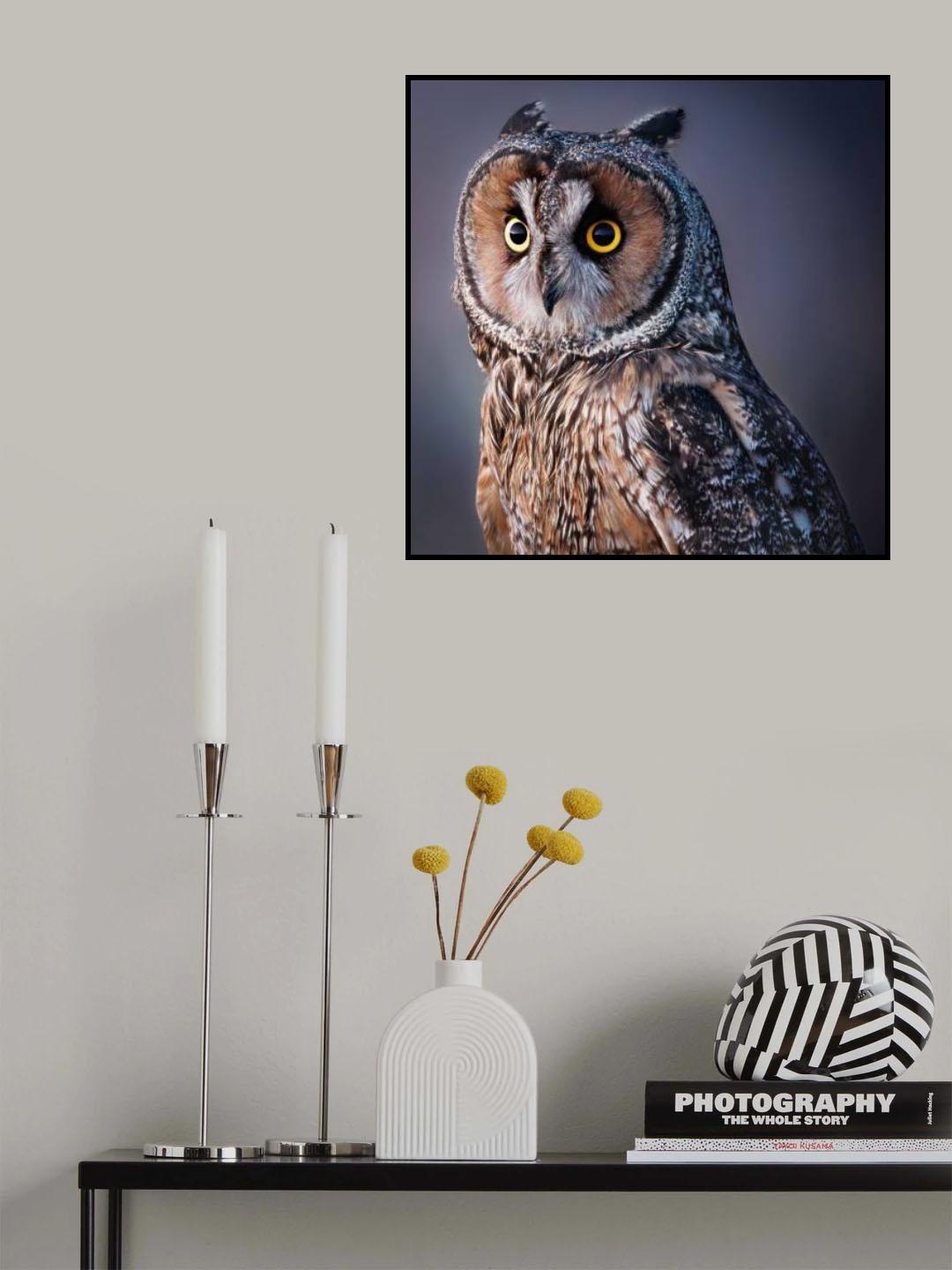 Look at me Poster och Canvastavla