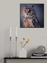 Look at me Poster och Canvastavla