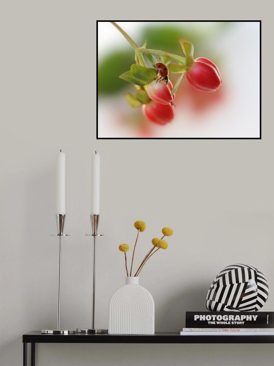 Red and green Poster och Canvastavla