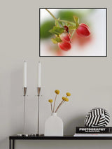 Red and green Poster och Canvastavla
