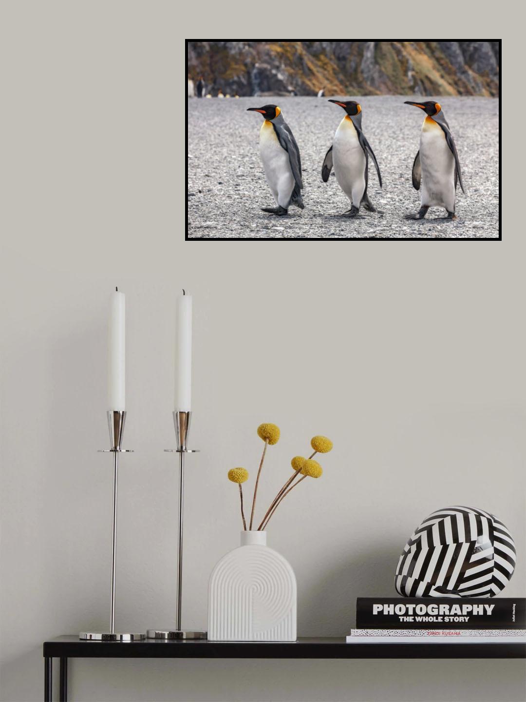 Three Kings Poster och Canvastavla