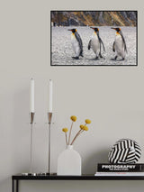 Three Kings Poster och Canvastavla