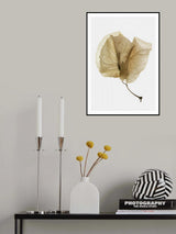 Bougainvillea Study No3 Poster och Canvastavla