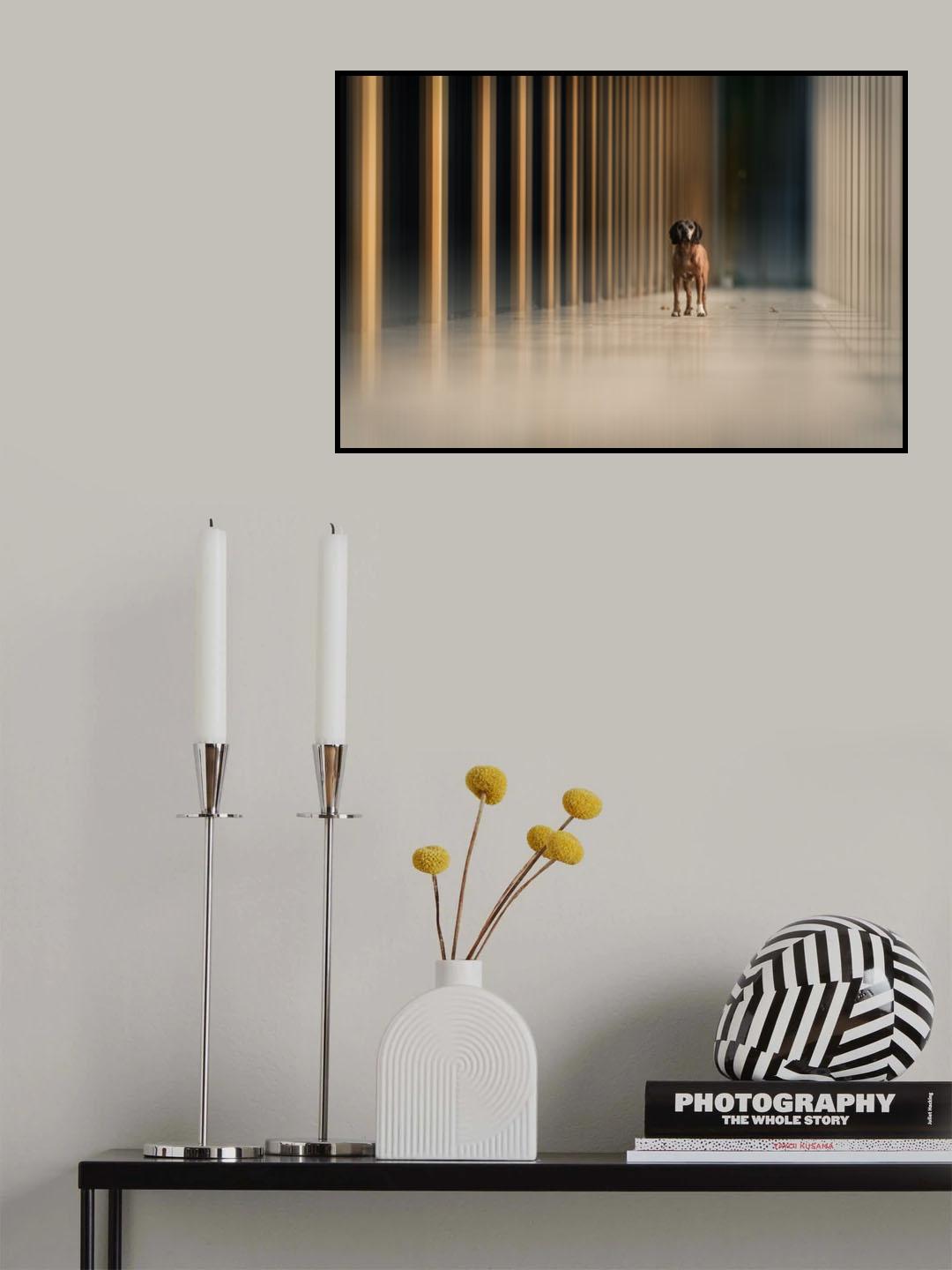 THE GATE Poster och Canvastavla