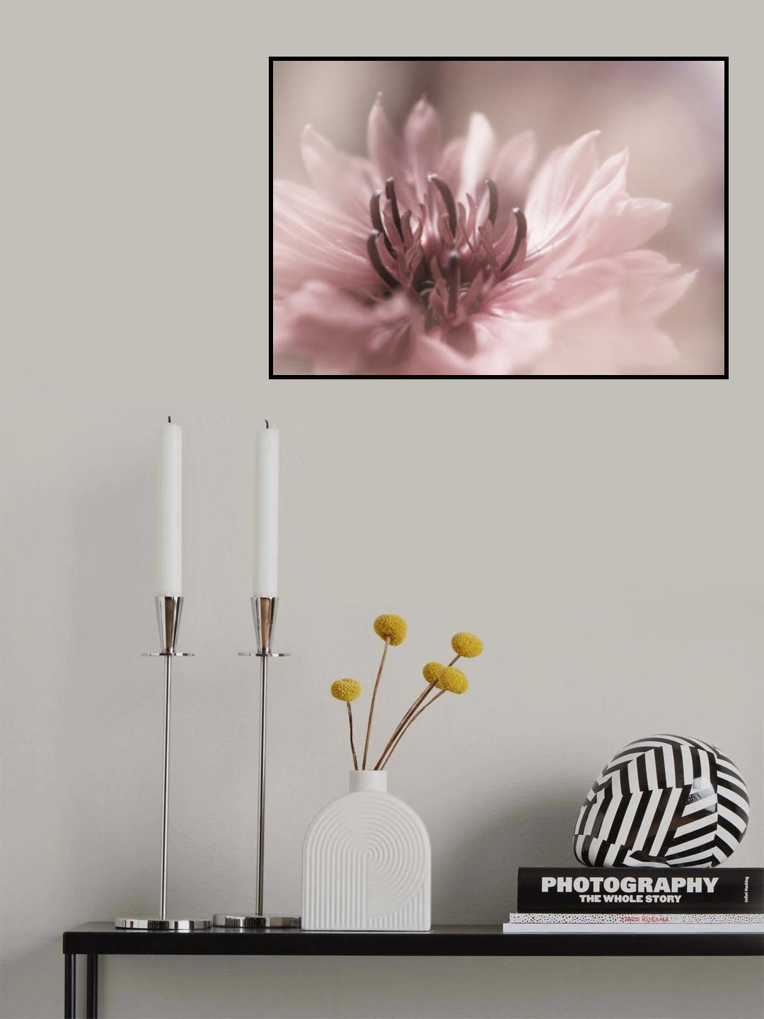 Delicate Poster och Canvastavla