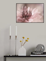 Delicate Poster och Canvastavla