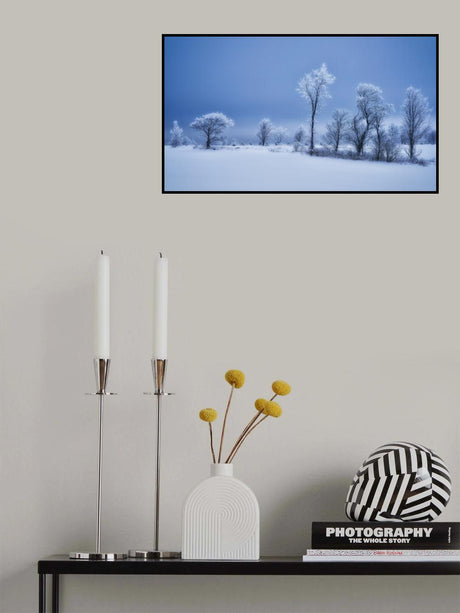 Winterland Poster och Canvastavla