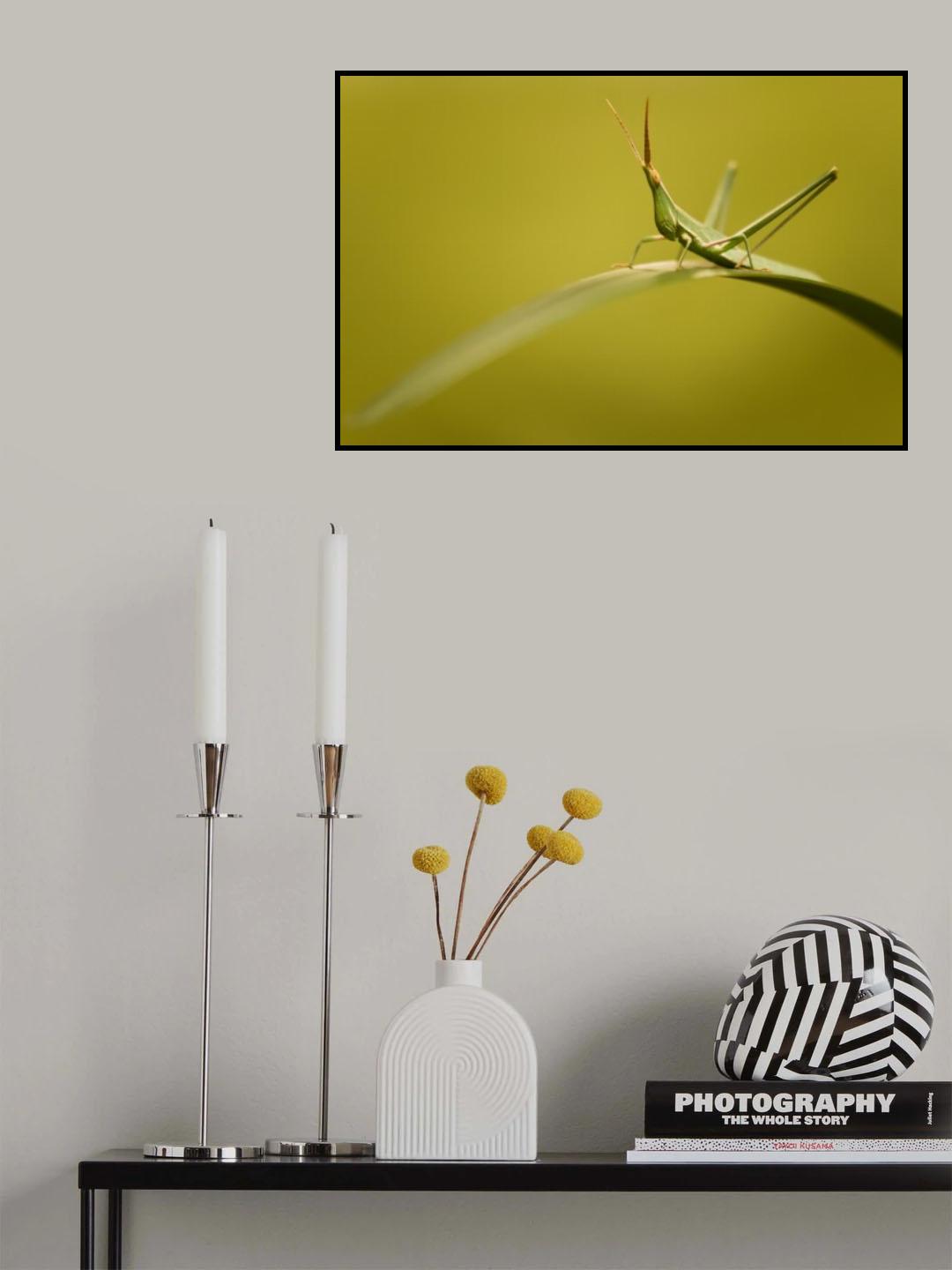 Soft about someone. Poster och Canvastavla