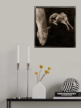 On the ground Poster och Canvastavla