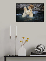 LOVERS Poster och Canvastavla