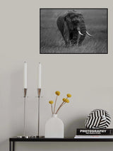 Graphite Poster och Canvastavla