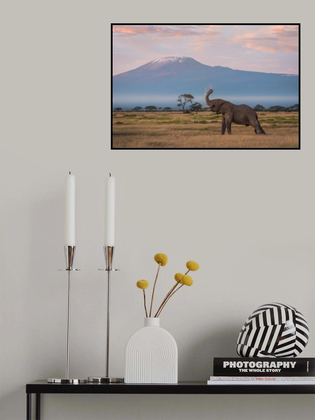 The Morning of Kilimanjaro Poster och Canvastavla