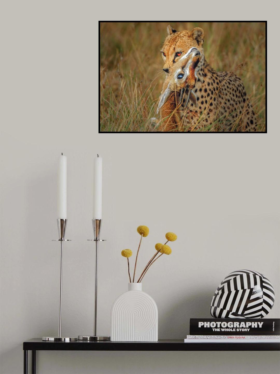 Life and death and survival Poster och Canvastavla
