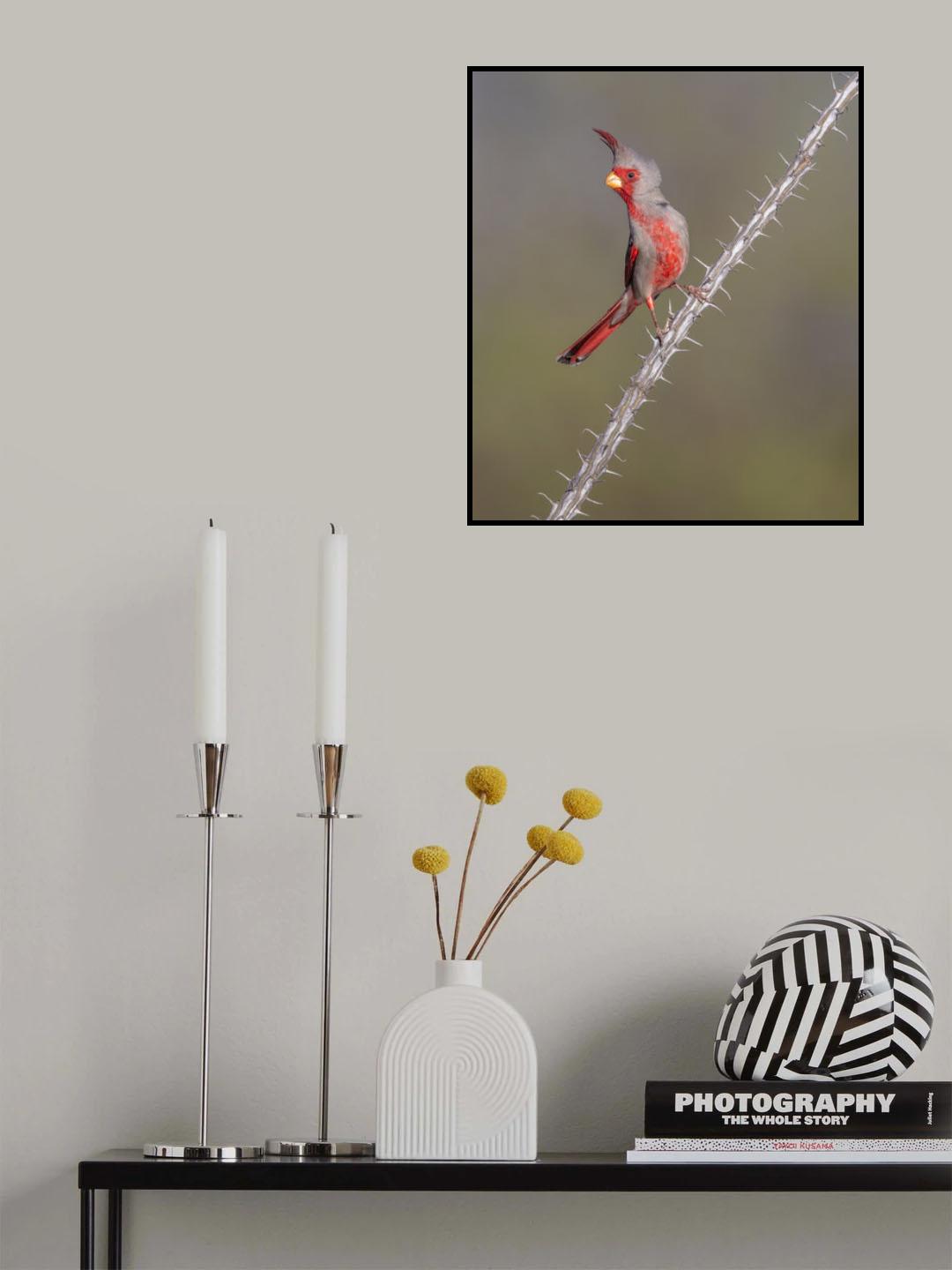 Prickly Bird Poster och Canvastavla