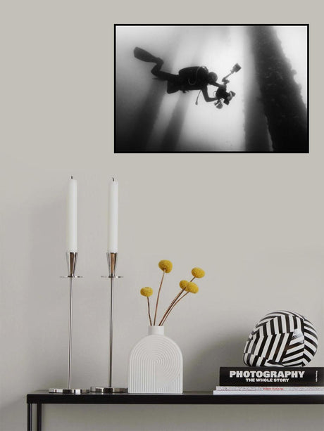 Fall into the silence Poster och Canvastavla