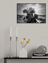 Begging for rain Poster och Canvastavla