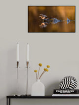 In Hurry Poster och Canvastavla