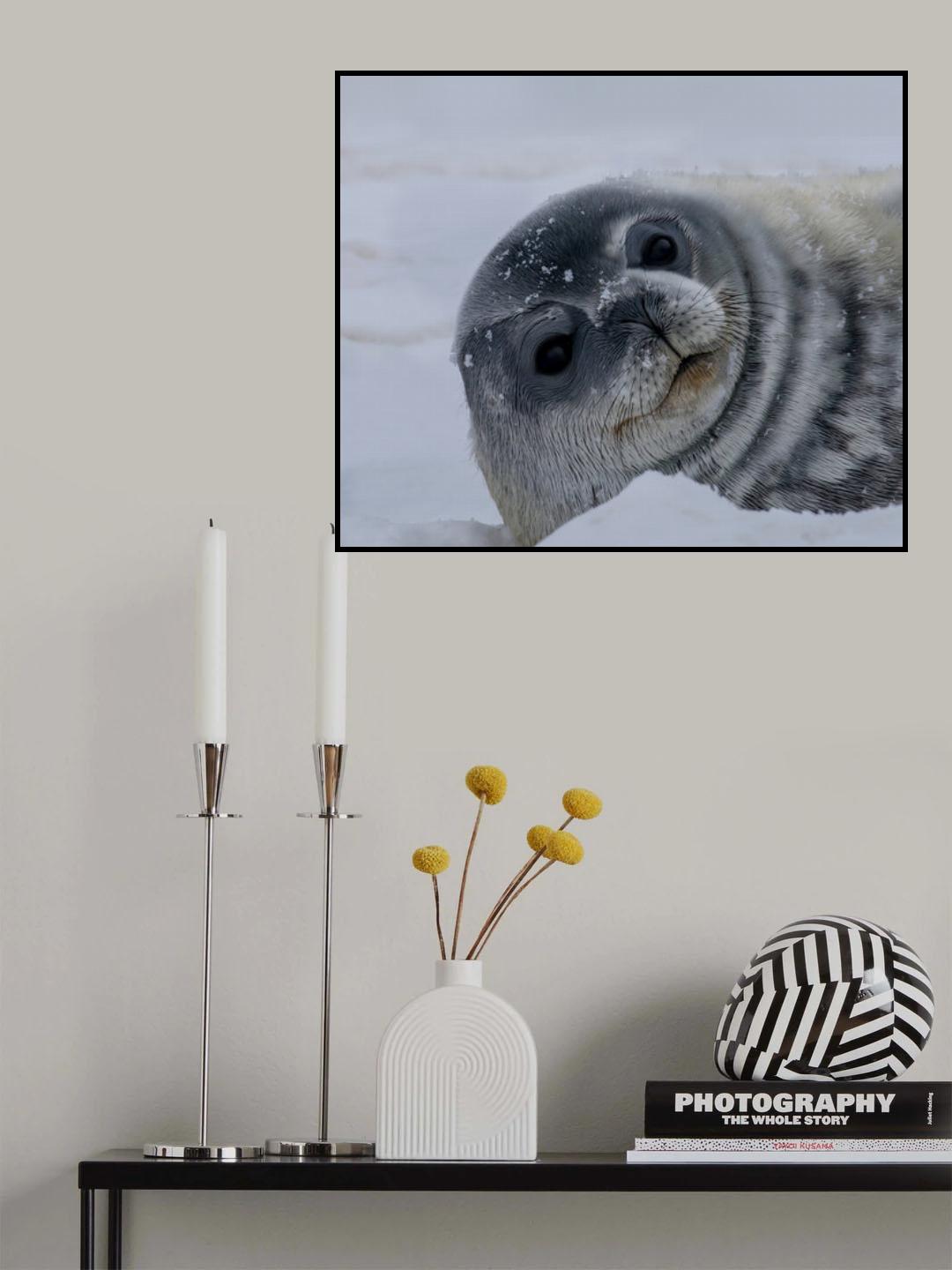 Big Eye Poster och Canvastavla