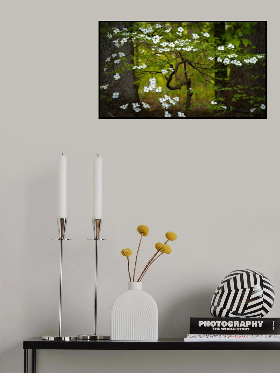 Elegance in Simplicity Poster och Canvastavla