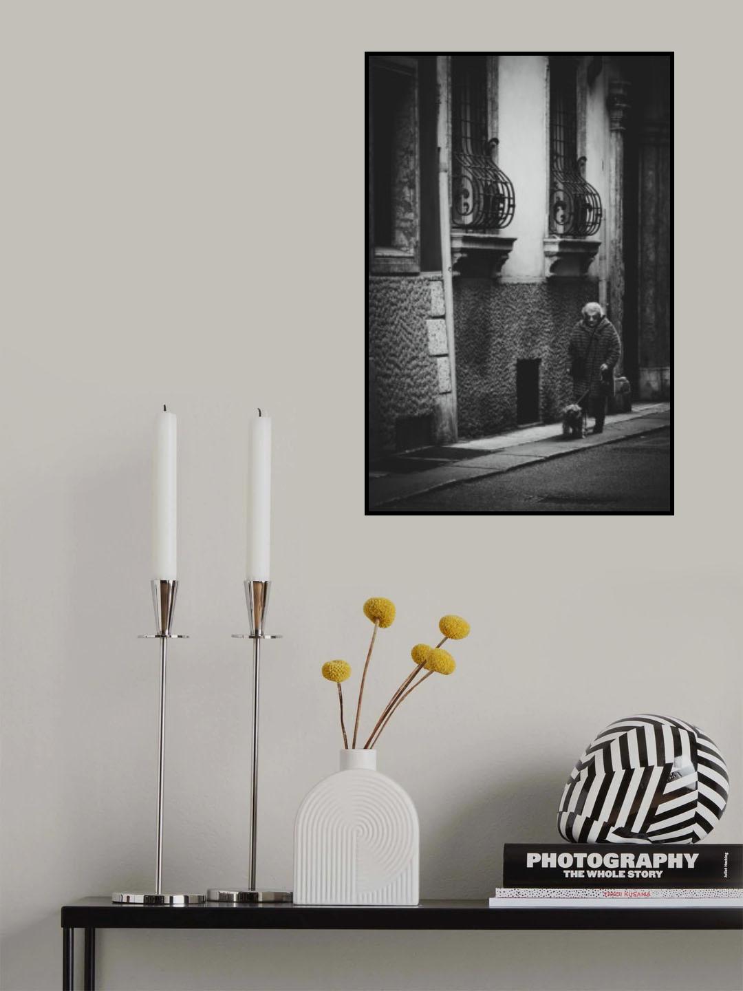 the old lady Poster och Canvastavla