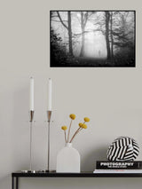 Visions Of A Forest Poster och Canvastavla