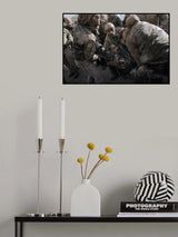 Poster och Canvastavla
