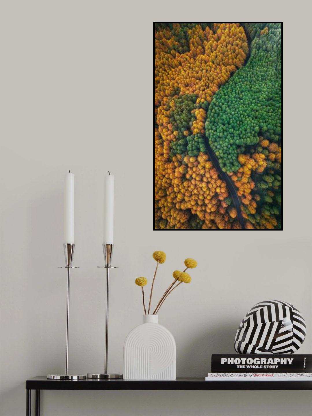 A winding forest road Poster och Canvastavla