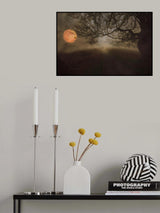 October Rust... Poster och Canvastavla