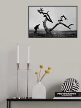 Old Man and Tree Poster och Canvastavla