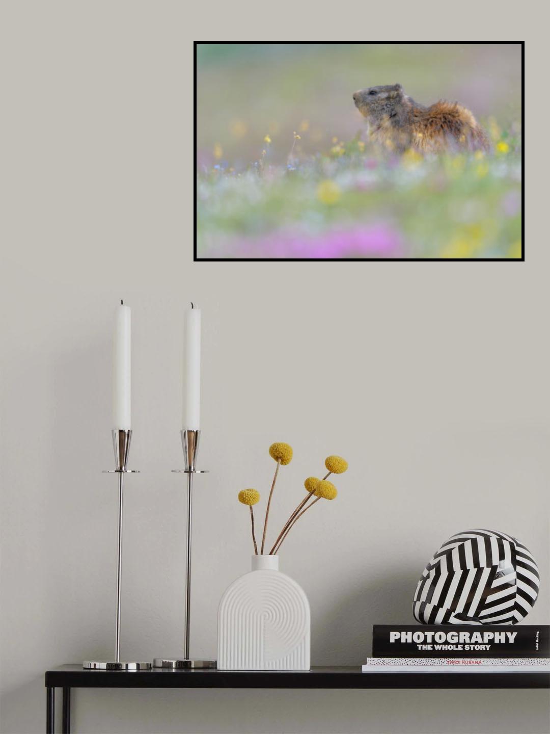 Rainbow Poster och Canvastavla