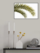 Coconut Tree Leaves Foliage Photo Poster och Canvastavla