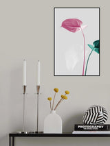 Monstera Creative 18 Poster och Canvastavla