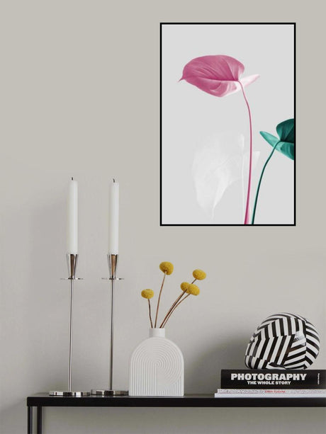 Monstera Creative 18 Poster och Canvastavla