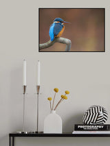 My Queenfisher Poster och Canvastavla