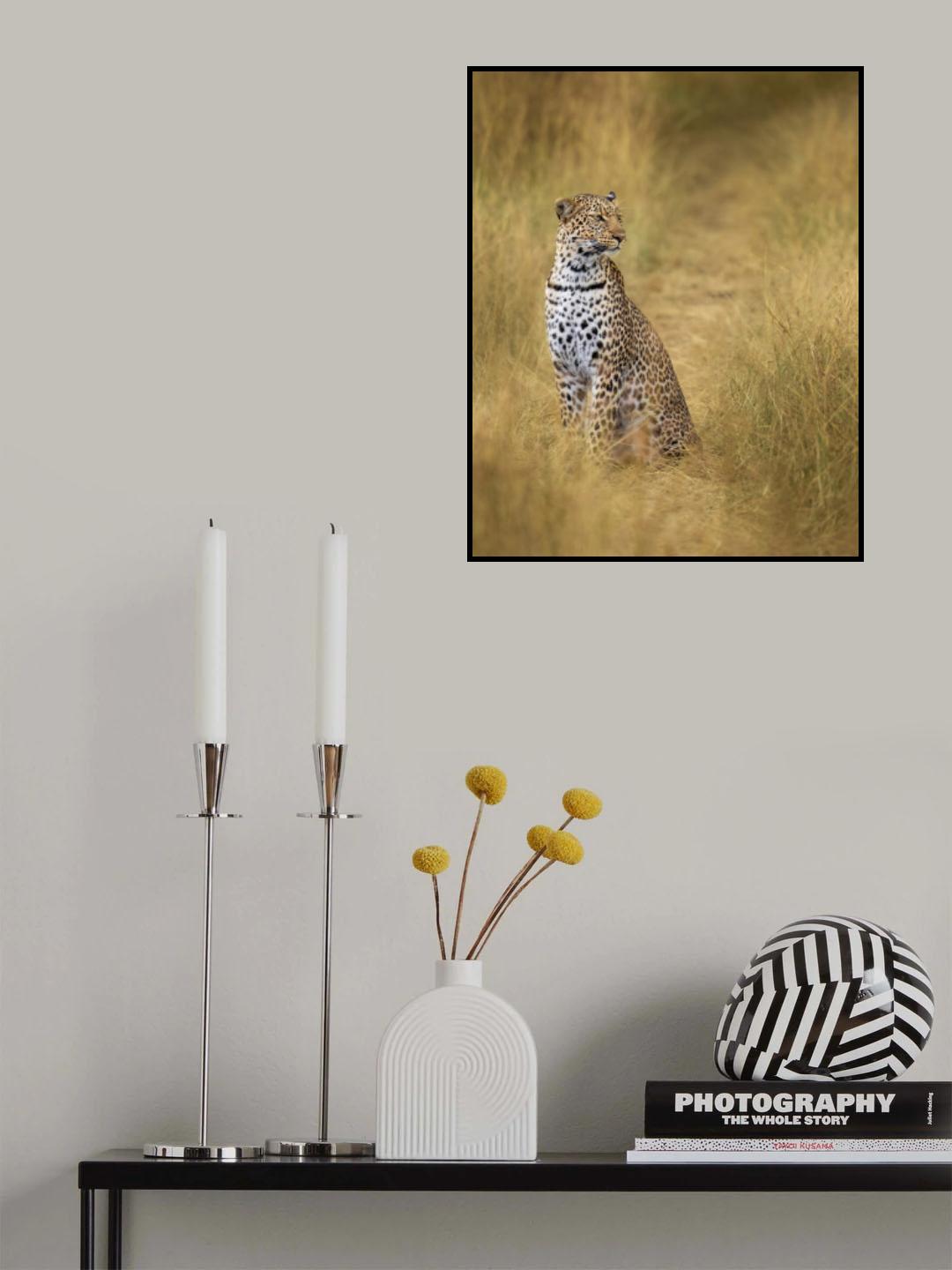 leopard Poster och Canvastavla