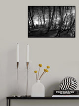 Through the old way Poster och Canvastavla