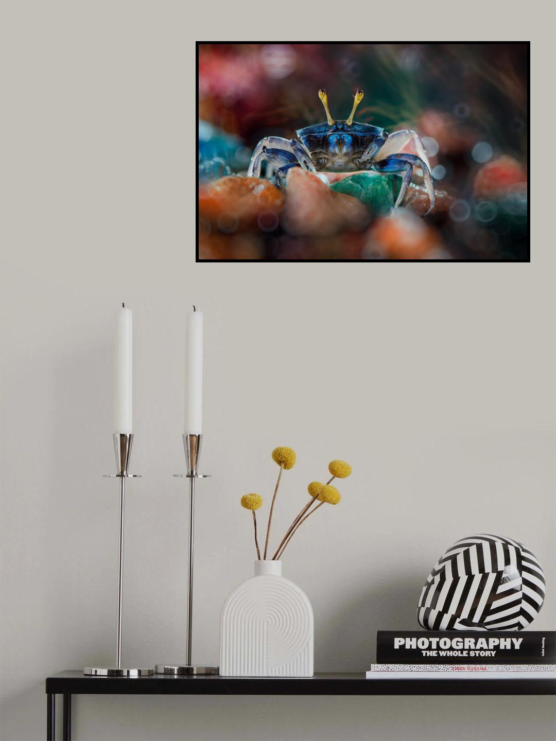 kapiting kacui Poster och Canvastavla