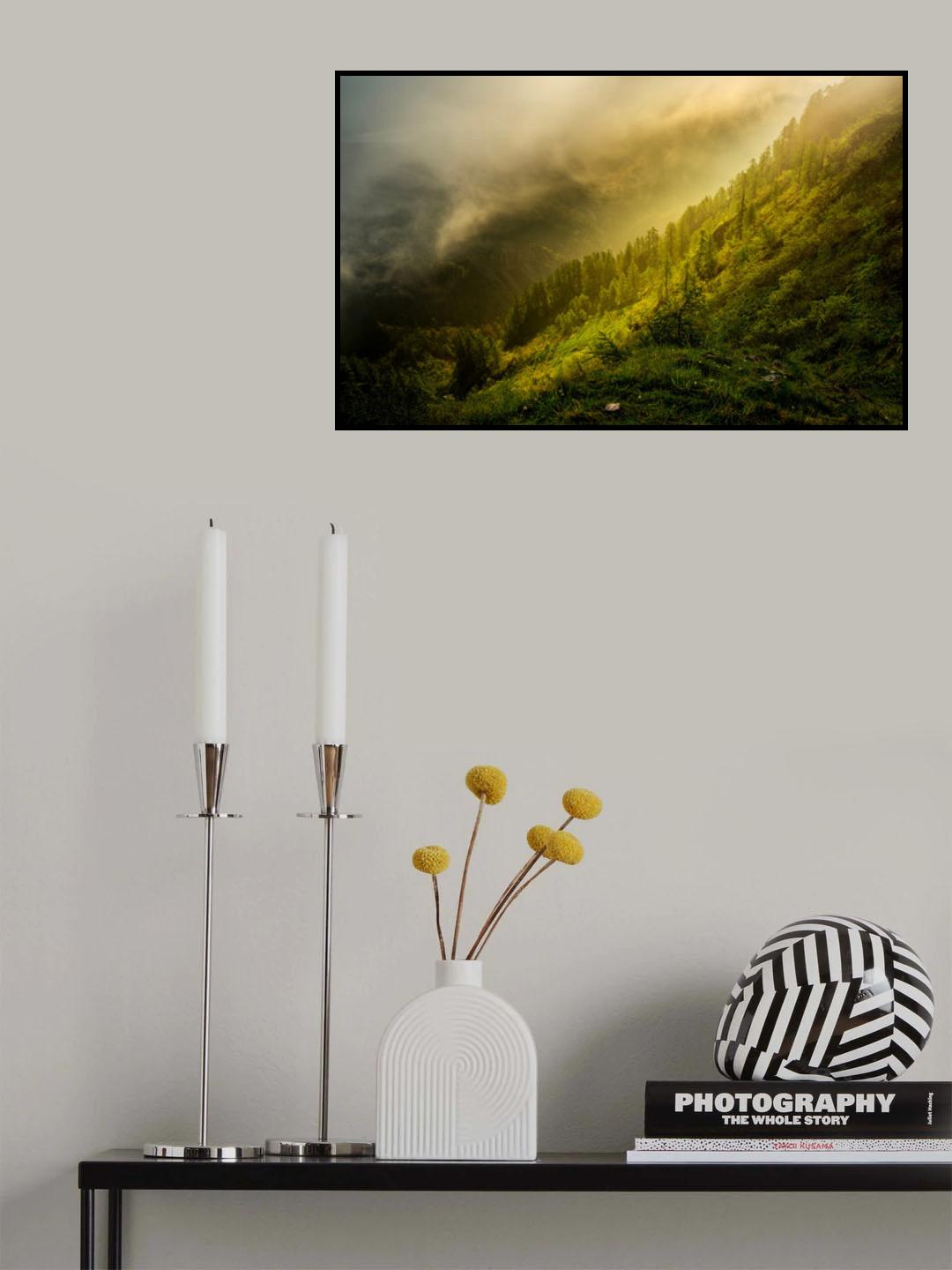 Lothlorien forest Poster och Canvastavla