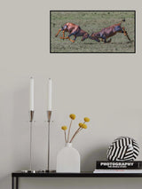Head to Head Poster och Canvastavla