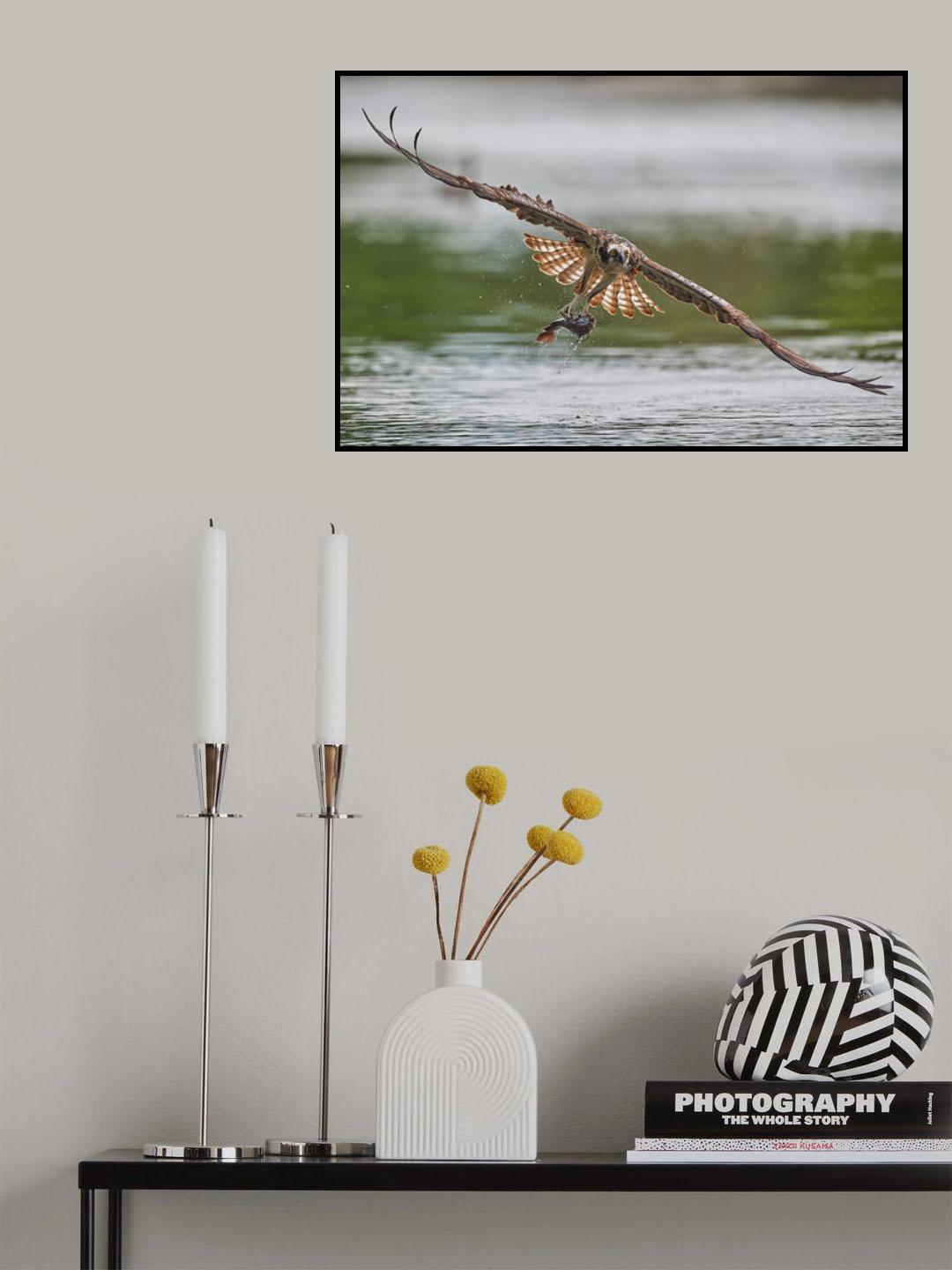 Catfish for lunch Poster och Canvastavla