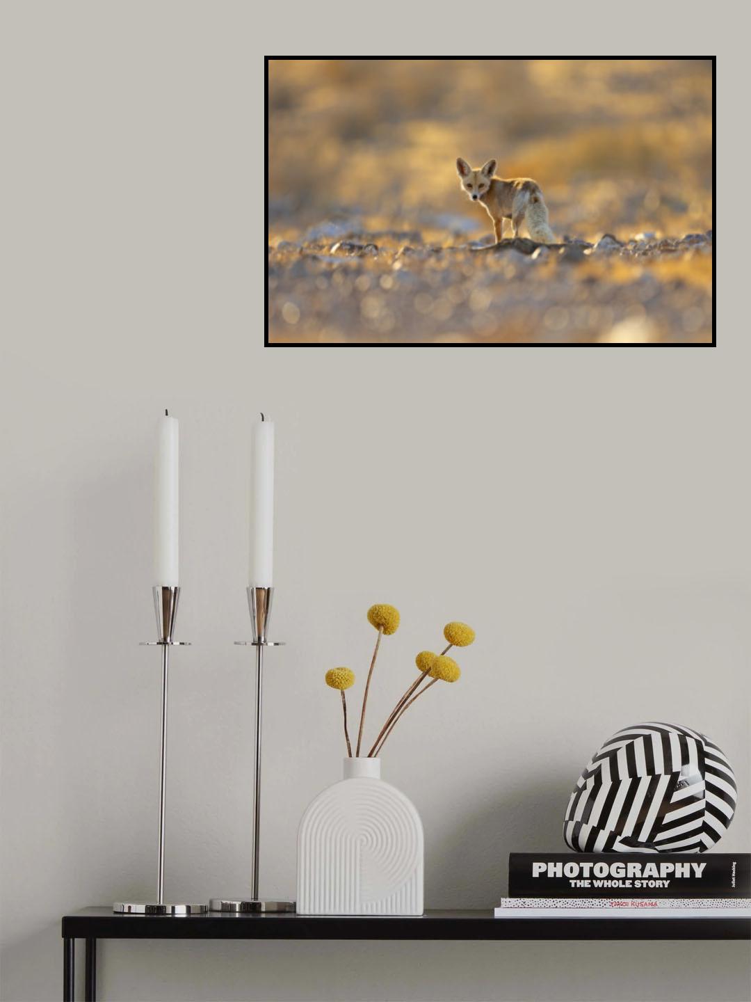 Fox on Sunset Poster och Canvastavla