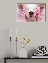 Sniff up the spring vibes Poster och Canvastavla