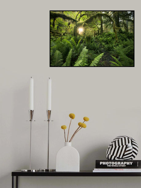 Elks Gateway Poster och Canvastavla