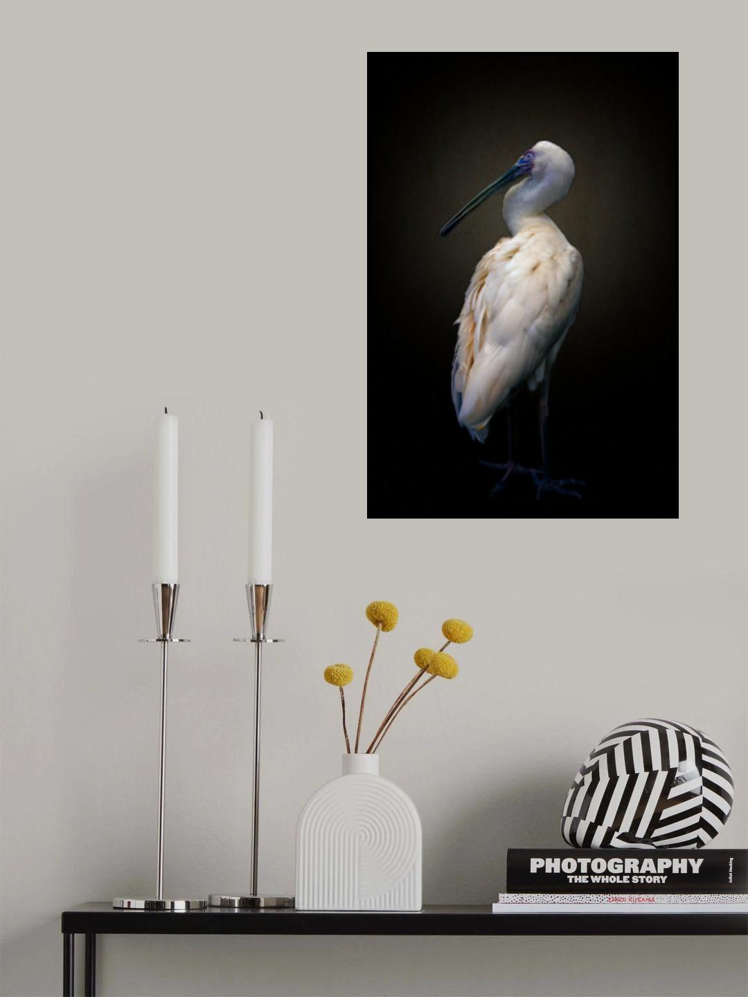 Beautiful lady Poster och Canvastavla