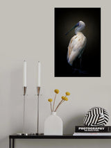 Beautiful lady Poster och Canvastavla