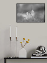 Out of the Mist Poster och Canvastavla