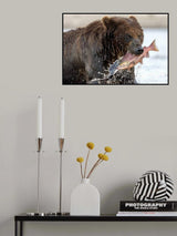 The prey Poster och Canvastavla