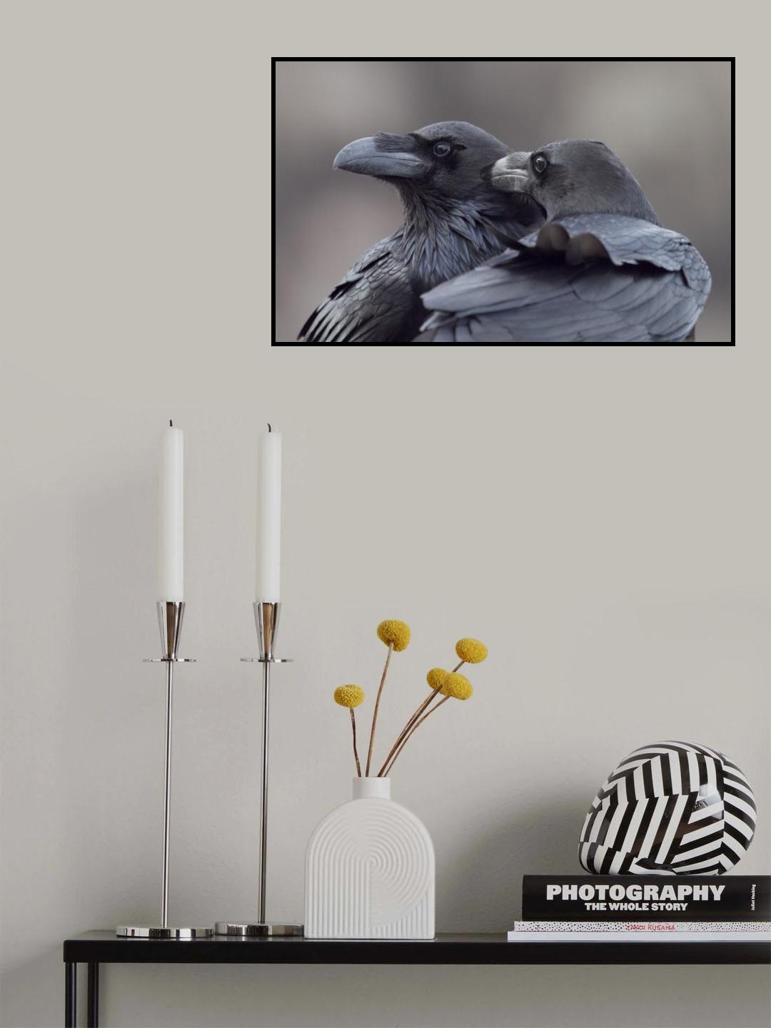 Hermanos  corax Poster och Canvastavla