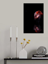 Fenicottero Rosso Poster och Canvastavla